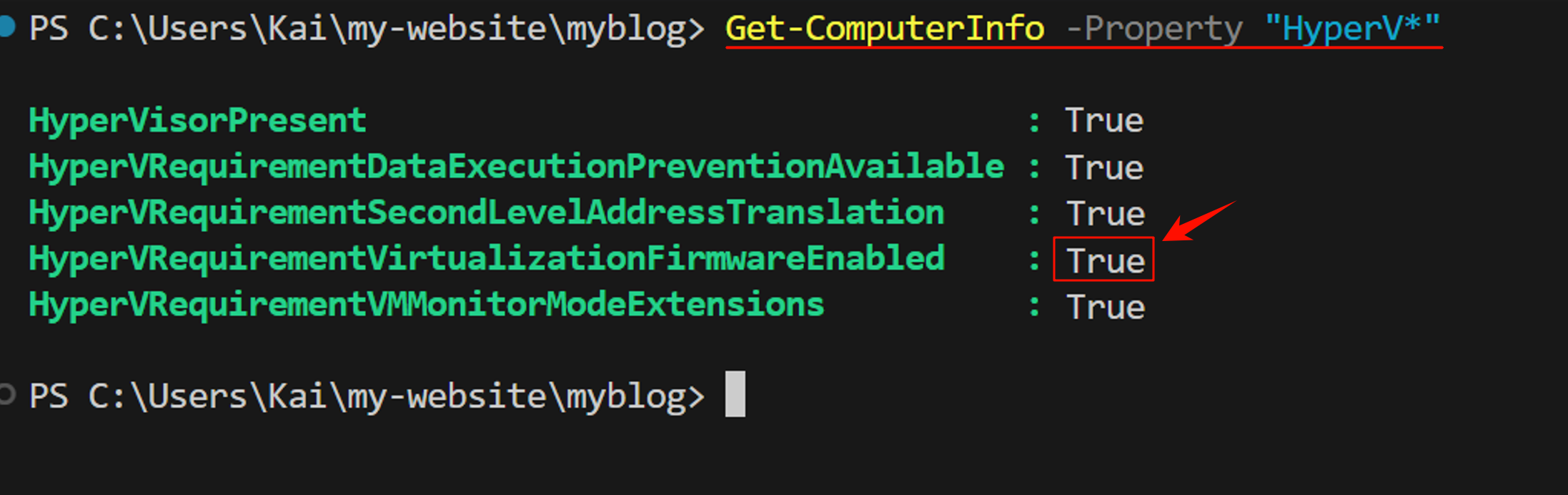 PowerShell输出结果